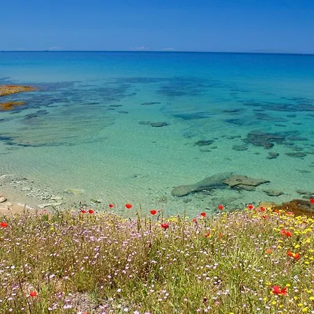 Villa Casa Gallinelle Sarde